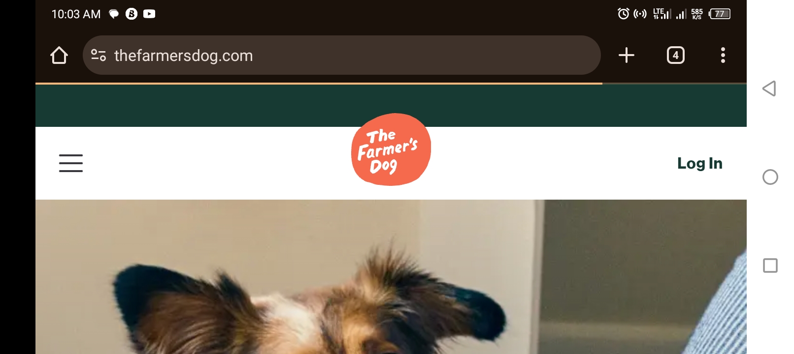 Screenshot_20250711-100354.jpg